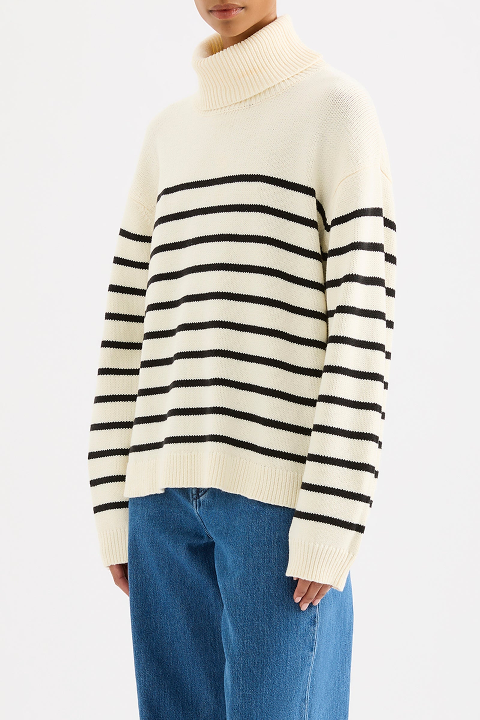 Perri Turtleneck Knit Black Stripe 