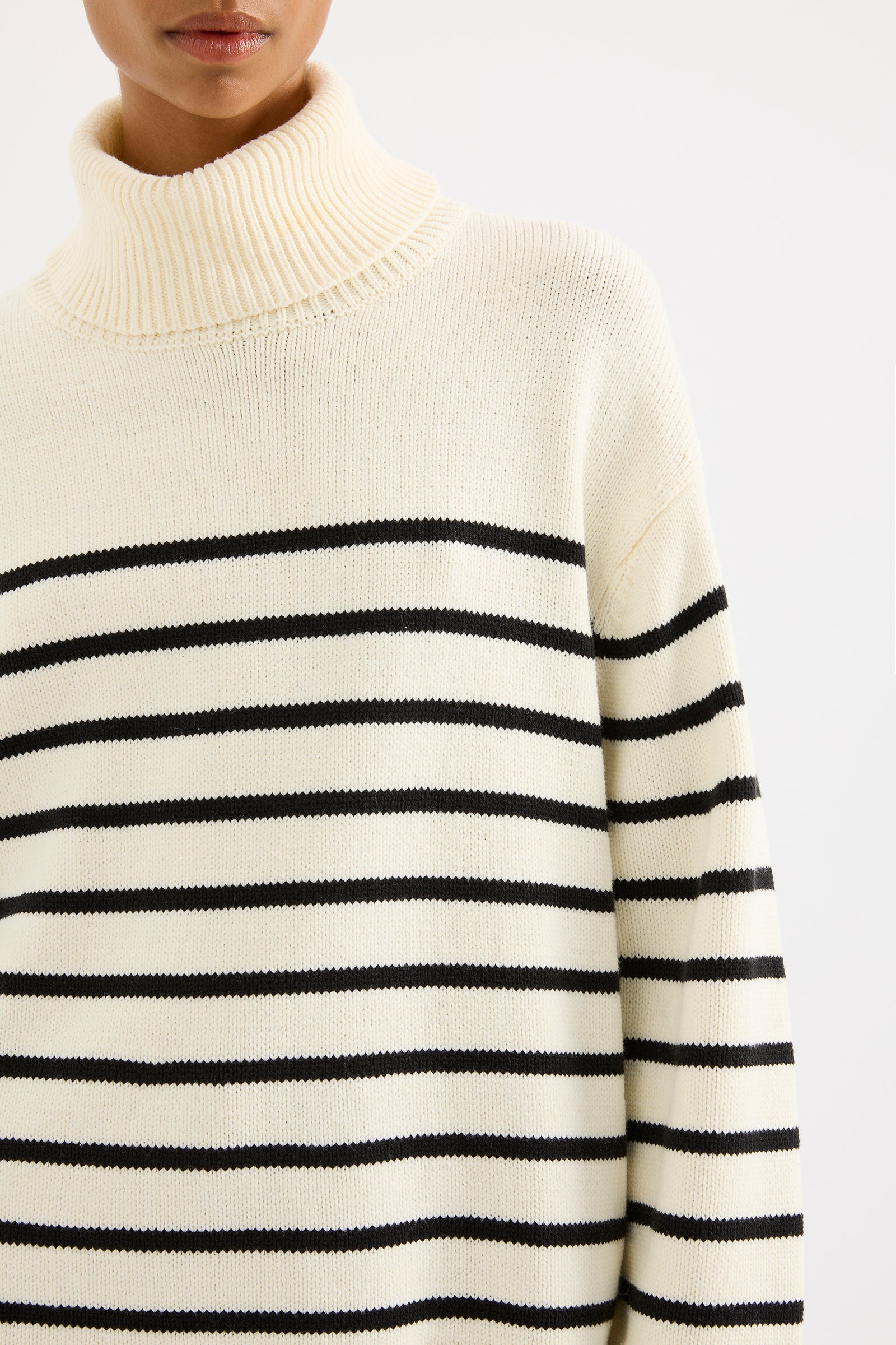 Perri Turtleneck Knit Black Stripe 